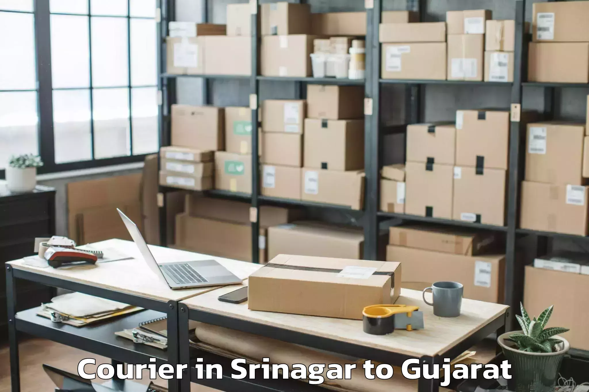 Hassle-Free Srinagar to Shri Govind Guru University Go Courier